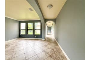 20318 CHESTNUT GROVE DRIVE, TAMPA, FL 33647 - MLS#MFRTB8393878