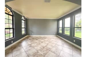 20318 CHESTNUT GROVE DRIVE, TAMPA, FL 33647 - MLS#MFRTB8393878