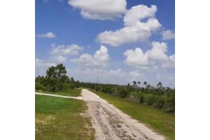 414 CALENDULA DRIVE, INDIAN LAKE ESTATES, FL 33855 - MLS#MFRTB8393890