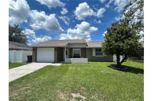 6807 Monique Ave, TAMPA