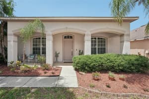 10905 WILDCAT DRIVE, RIVERVIEW, FL 33579 - MLS#MFRTB8393986