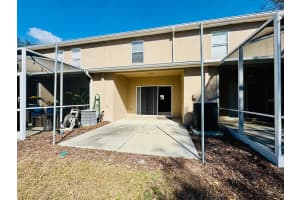 15833 FISHHAWK FALLS DRIVE, LITHIA, FL 33547 - MLS#MFRTB8394002