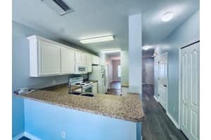 15833 FISHHAWK FALLS DRIVE, LITHIA, FL 33547 - MLS#MFRTB8394002