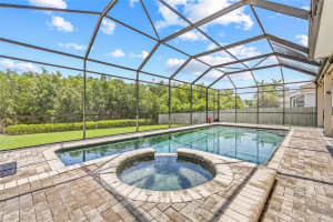 1191 DARLINGTON OAK DRIVE, ST PETERSBURG, FL 33703 - MLS#MFRTB8394004