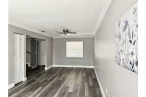 5229 TENNIS COURT CIRCLE, TAMPA, FL 33617 - MLS#MFRTB8394019