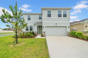 32136 CONCHSHELL SAIL STREET, WESLEY CHAPEL, FL 33545 - MLS#MFRTB8394025