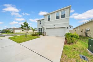 32136 CONCHSHELL SAIL STREET, WESLEY CHAPEL, FL 33545 - MLS#MFRTB8394025