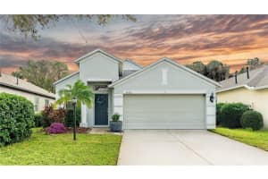 14320 Tree Swallow Way, LAKEWOOD RANCH