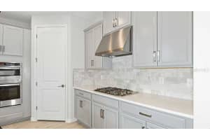 33306 CASTAWAY LOOP, WESLEY CHAPEL, FL 33543 - MLS#MFRTB8394143