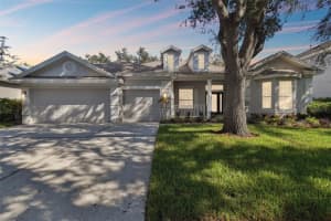 10244 SHADOW BRANCH DRIVE, TAMPA, FL 33647 Sold 07/25/25