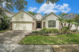 17910 TIMBER VIEW STREET, TAMPA, FL 33647 - MLS#MFRTB8394166