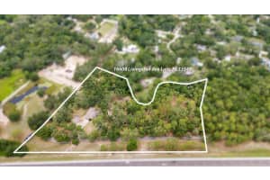 16608 LIVINGSTON AVENUE, LUTZ, FL 33559 - MLS#MFRTB8394167