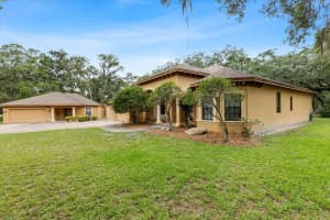 16608 LIVINGSTON AVENUE, LUTZ, FL 33559 - MLS#MFRTB8394167