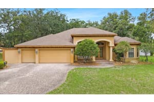 16608 LIVINGSTON AVENUE, LUTZ, FL 33559 - MLS#MFRTB8394167