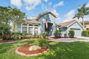 18712 Forest Glen Ct, TAMPA