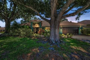 2459 Parkstream Ave, CLEARWATER