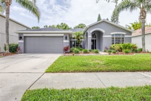8814 N River Rd, TAMPA