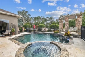 16248 IVY LAKE DRIVE, ODESSA, FL 33556 Sold 08/05/25