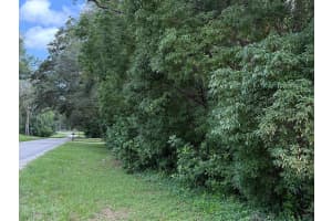 1059 MONROE AVENUE, BROOKSVILLE, FL 34604 Sold 06/20/25
