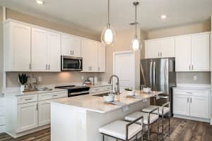 9932 SURREY ROSE DRIVE, SAN ANTONIO, FL 33576 Sold 10/30/25