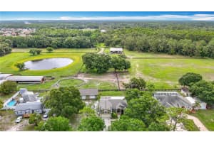 1332 OSCEOLA HOLLOW RD, ODESSA, FL 33556 Sold 06/20/25