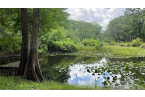 7234 CR 651W, BUSHNELL, FL 33513 Sold 07/10/25