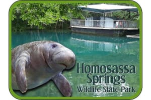 3191 CANADIAN WAY, HOMOSASSA, FL 34448 Sold 08/28/25