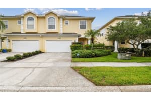 3484 Primrose Way, PALM HARBOR