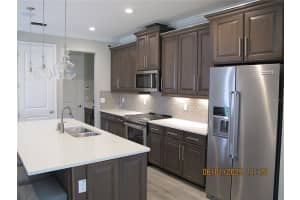 18824 NOBLE CASPIAN DRIVE, LUTZ, FL 33558 - MLS#MFRTB8394424