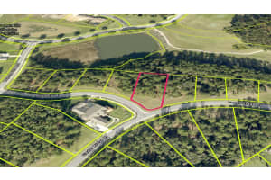 19897 PINNACLE PLACE, BROOKSVILLE, FL 34601 - MLS#MFRTB8394426