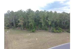 19897 PINNACLE PLACE, BROOKSVILLE, FL 34601 - MLS#MFRTB8394426