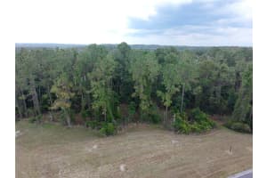 19897 PINNACLE PLACE, BROOKSVILLE, FL 34601 - MLS#MFRTB8394426