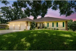 21738 OCEAN PINES DRIVE, LAND O LAKES, FL 34639 - MLS#MFRTB8394490