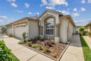 19409 WEYMOUTH DRIVE, LAND O LAKES, FL 34638 - MLS#MFRTB8394553