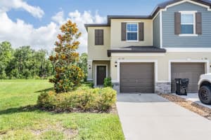 17592 Nectar Flume Dr, LAND O LAKES