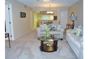 244 CYPRESS LANE, OLDSMAR, FL 34677 - MLS#MFRTB8394650