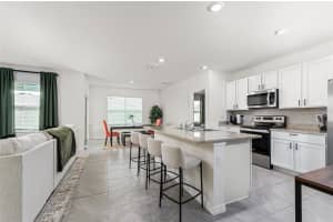 33668 ELM HILL BRANCH, WESLEY CHAPEL, FL 33545 - MLS#MFRTB8394653