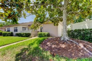 50 INGRID PLACE, OLDSMAR, FL 34677 - MLS#MFRTB8394672