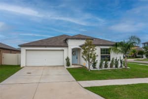 15403 Wicked Strong St, SUN CITY CENTER