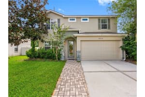 8806 Bayaud Dr, TAMPA