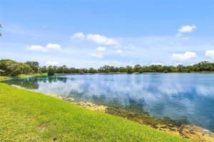 11613 Sunshine Pond Rd, TAMPA
