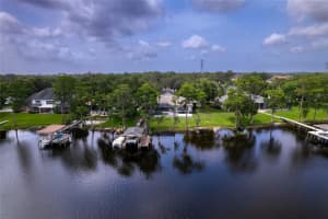 15012 MAURINE COVE LANE, ODESSA, FL 33556 Sold 09/08/25