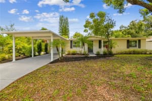 1102 E Lambright St, TAMPA