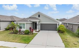 14916 Imperial Purple Ln, WIMAUMA