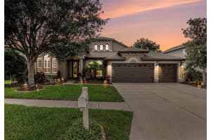 1342 SALMONBERRY STREET, WESLEY CHAPEL, FL 33543 Sold 07/08/25