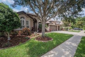 1342 SALMONBERRY STREET, WESLEY CHAPEL, FL 33543 Sold 07/08/25