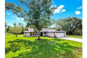 9903 SADDLE ROAD, TAMPA, FL 33626 - MLS#MFRTB8394860