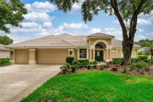 9116 Woodridge Run Dr, TAMPA