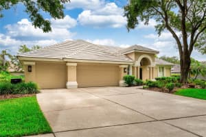 9116 WOODRIDGE RUN DRIVE, TAMPA, FL 33647 - MLS#MFRTB8394929