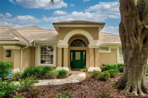 9116 WOODRIDGE RUN DRIVE, TAMPA, FL 33647 - MLS#MFRTB8394929
